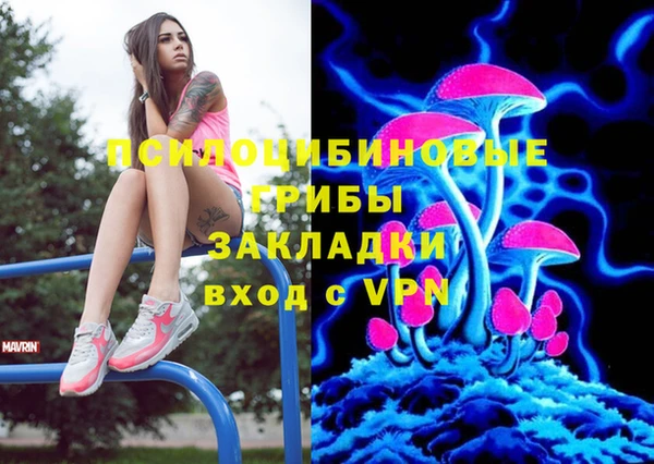 дурь Инта