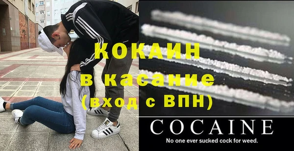 индика Армянск