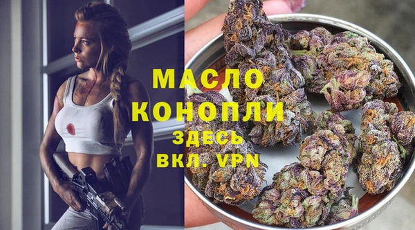 индика Армянск