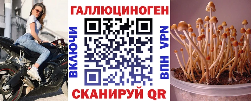 Галлюциногенные грибы мухоморы  Прохладный 